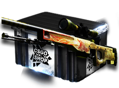 Five Сent Сase case cs go