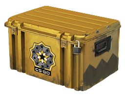 Five Сent Сase case cs go