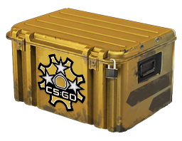 Five Сent Сase case cs go