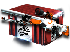 Five Сent Сase case cs go